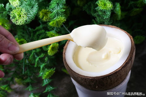 iff t2n 椰奶香精 超前包埋技術,超高性價比,讓你的產品更吃香