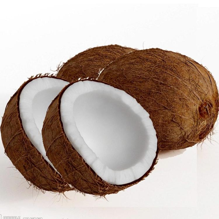 包郵 去皮老椰子5個(gè)海南椰子吃椰肉/榨椰汁/煲椰子雞湯VS秦國(guó)椰青