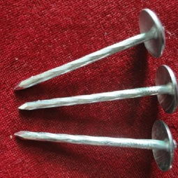 高密市宏宇五金制品廠 專(zhuān)業(yè)銷(xiāo)售鍍鋅瓦楞釘?shù)目煽抗?yīng)商